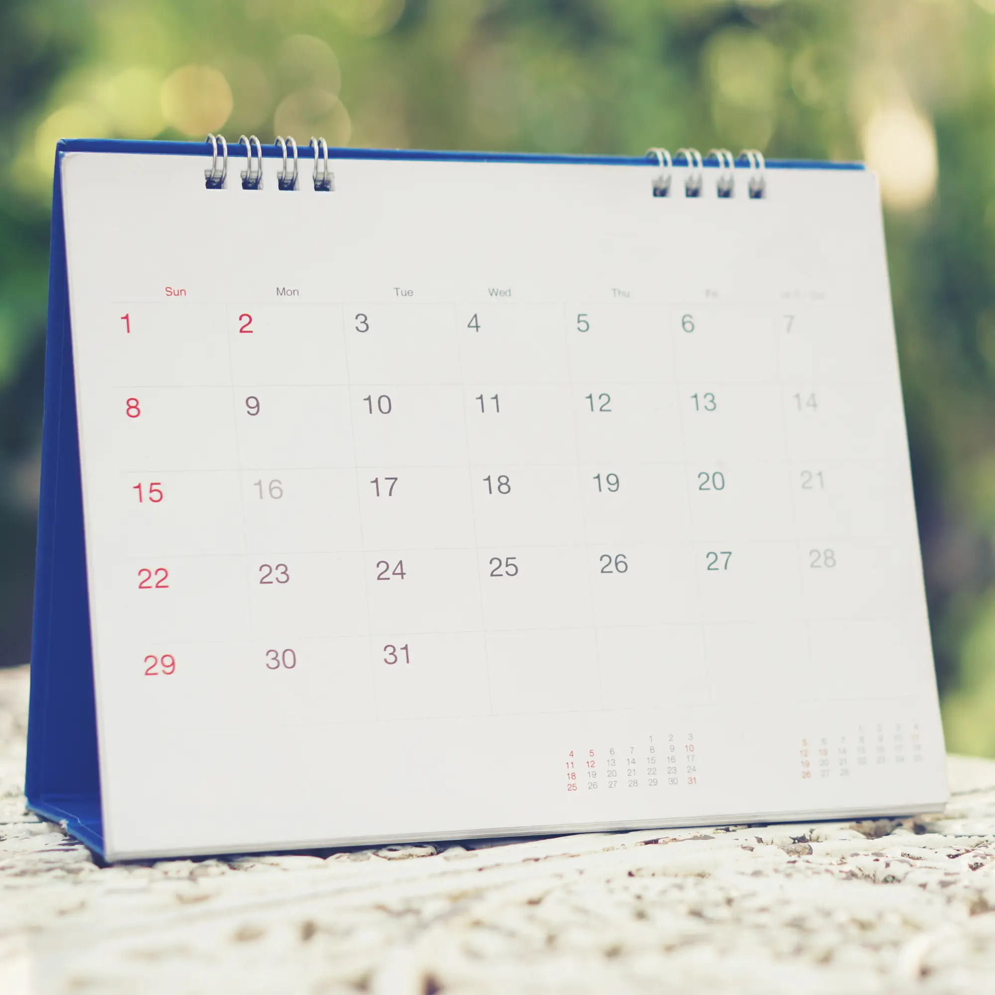 4- Convenient Appointments